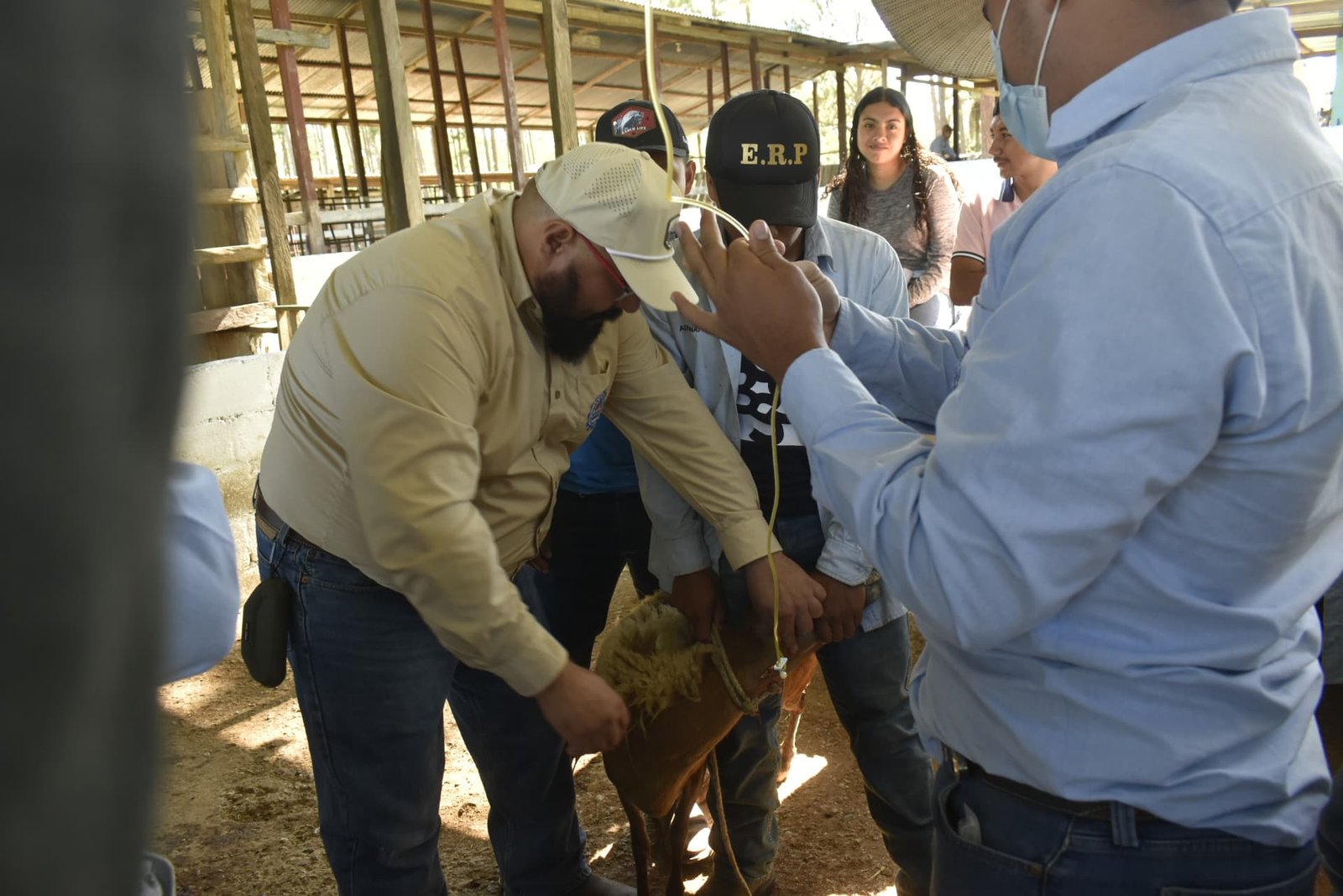 Perito Agrónomo ICAP 3