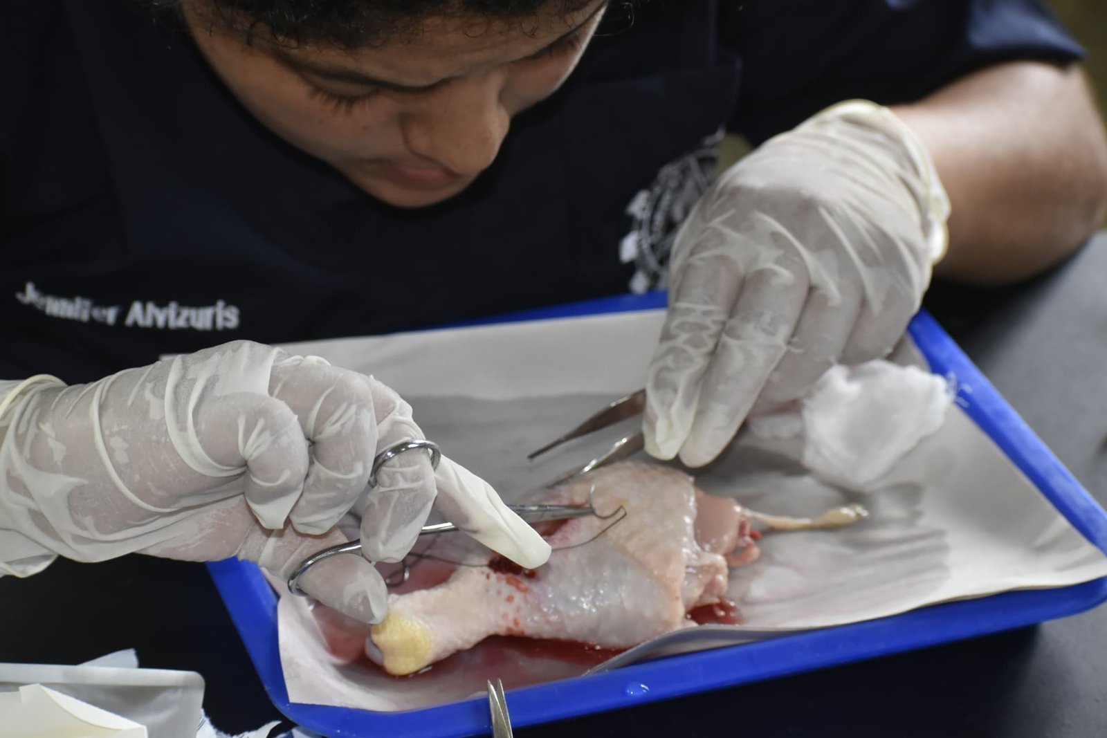 Ciencias Biológicas ICAP 4